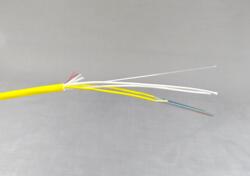 24 fiber breakout trunk, indoor