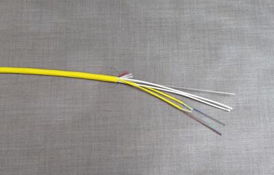 24 fiber breakout trunk, indoor