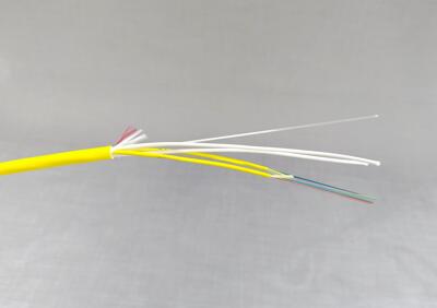 24 fiber breakout trunk, indoor